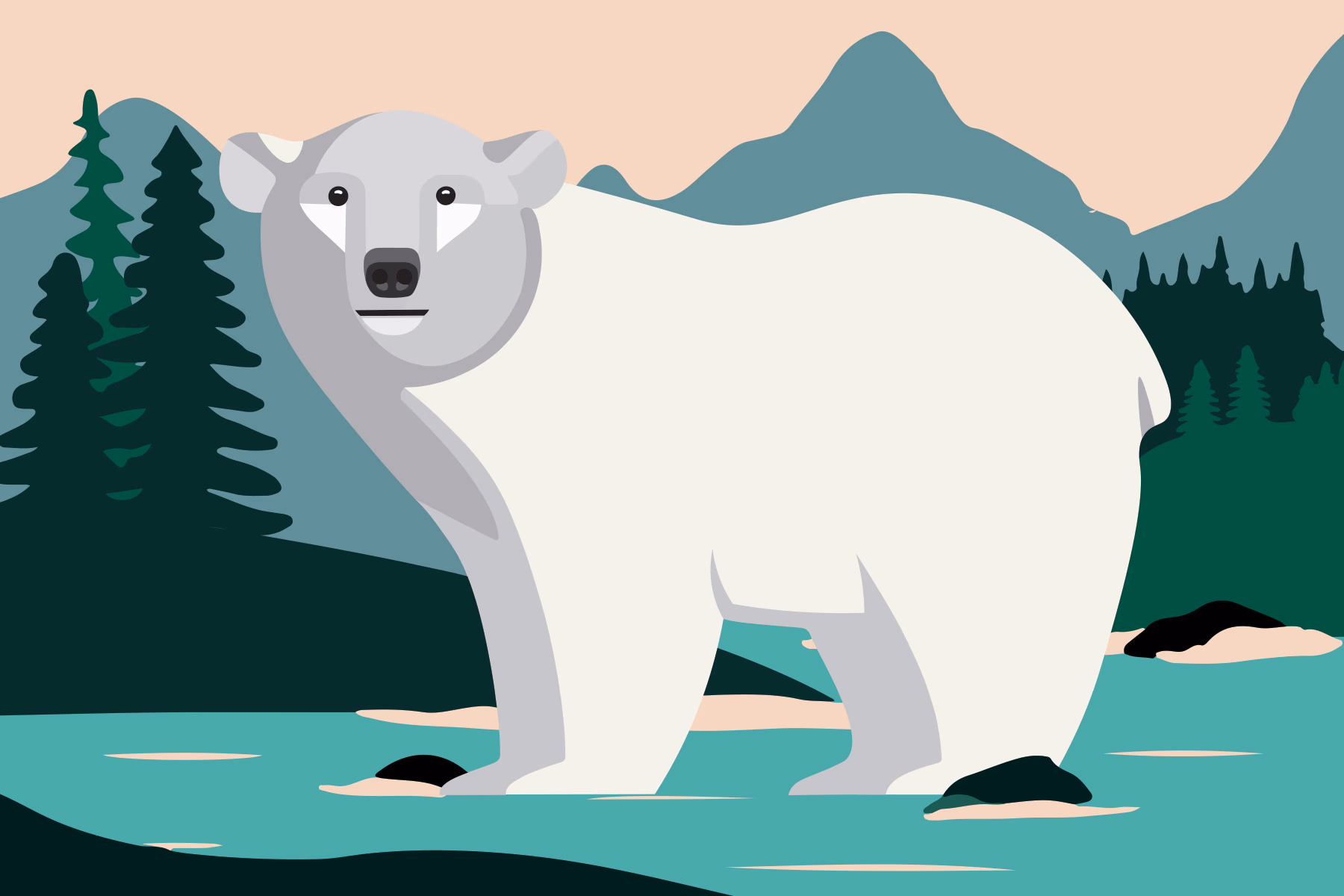 Illustration of Polar Bear