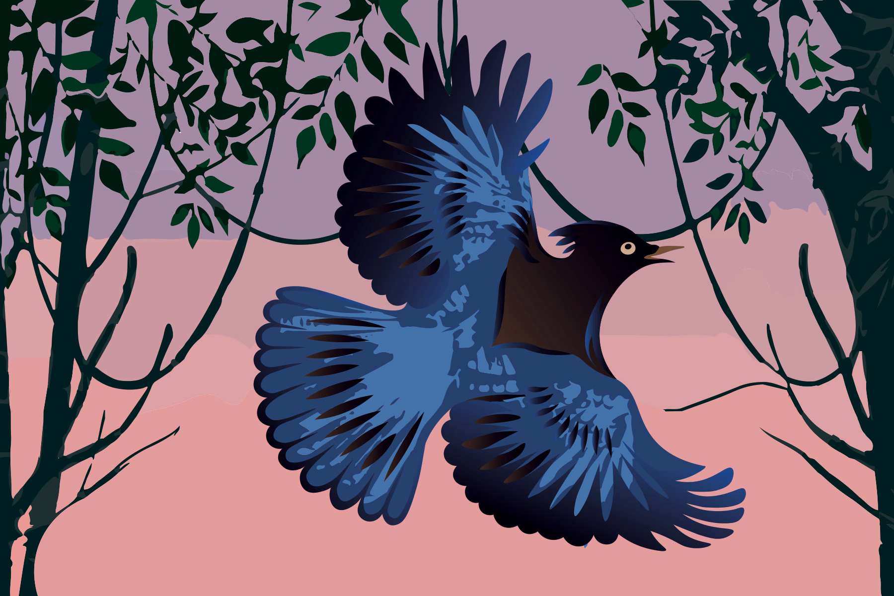 Illustration of Blue Jay