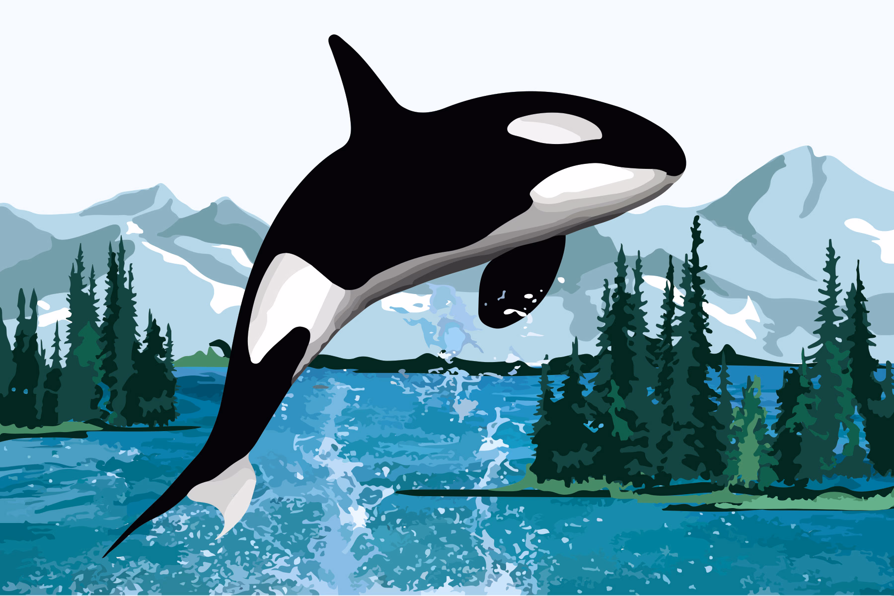 Illustration of Orca